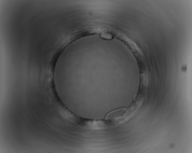 X0000103320517200809051150