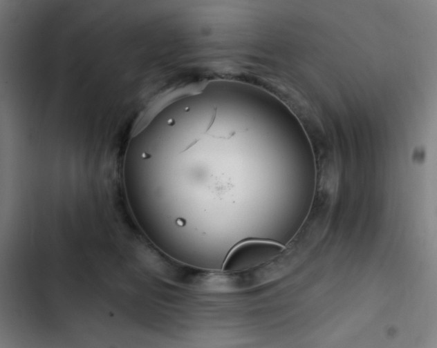 X0000103320518200809051150