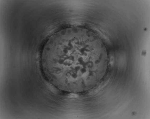 X0000103320519200809051150