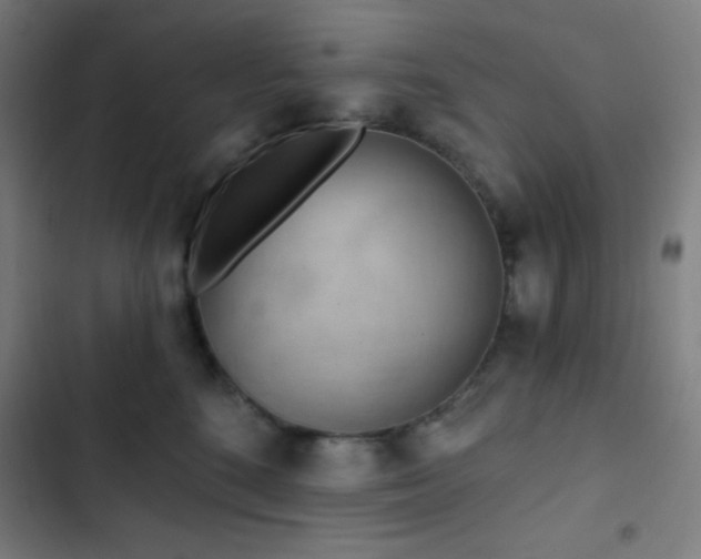 X0000103320520200809051150