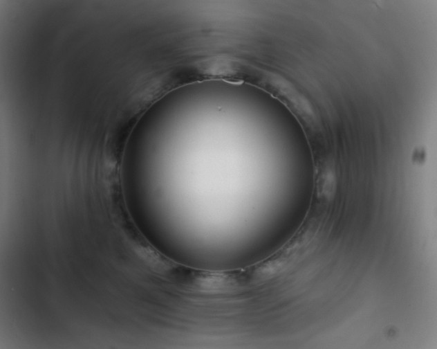 X0000103320521200809051150