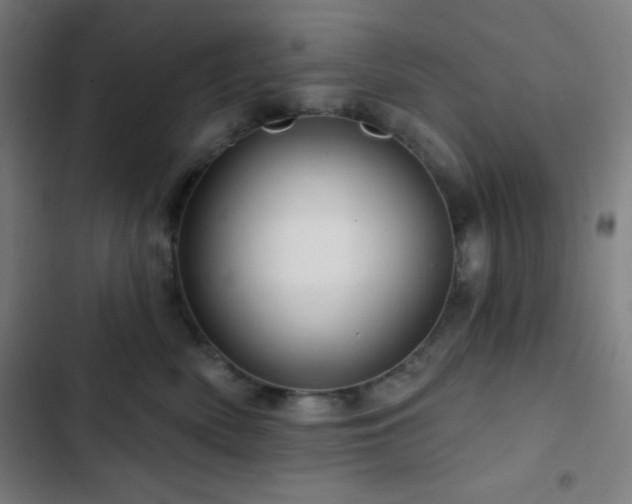 X0000103320522200809051150