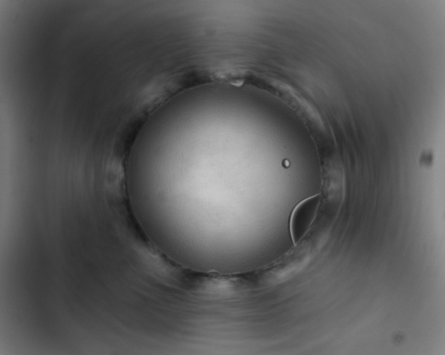 X0000103320523200809051150