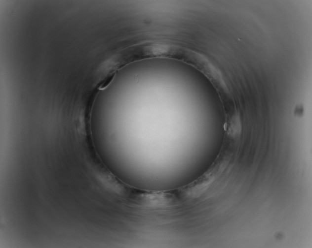 X0000103320524200809051150