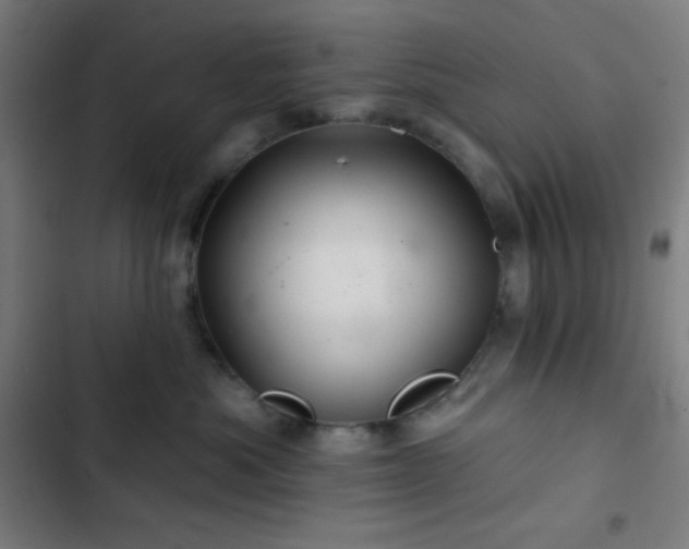 X0000103320525200809051150