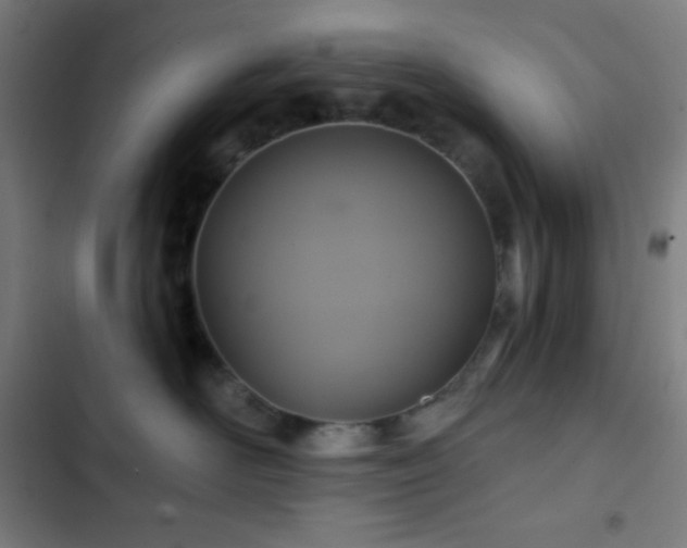 X0000103320526200809051150