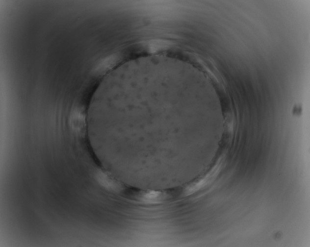 X0000103320527200809051150