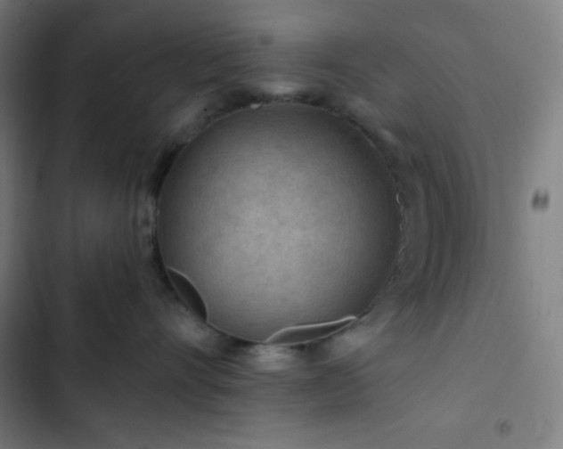 X0000103320528200809051150