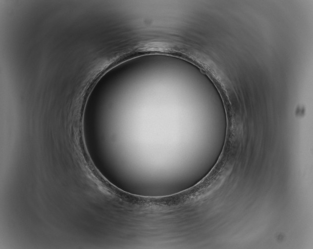 X0000103320529200809051149