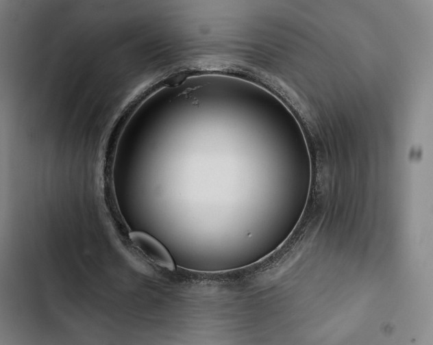 X0000103320530200809051149