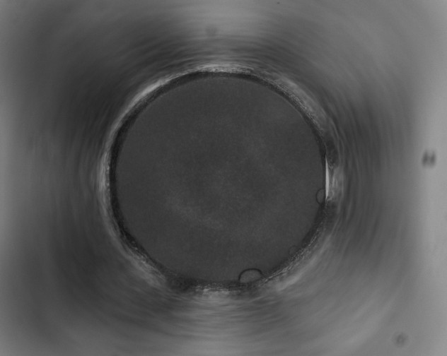 X0000103320531200809051149