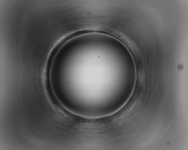 X0000103320532200809051149