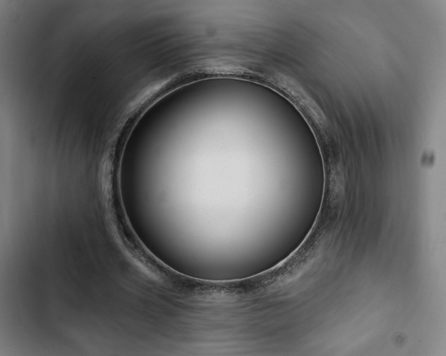 X0000103320533200809051149