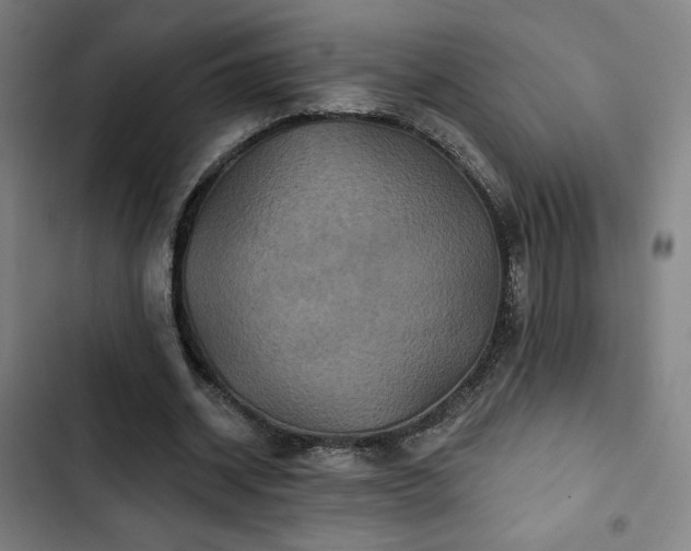 X0000103320534200809051149