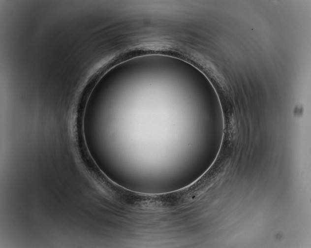 X0000103320535200809051149