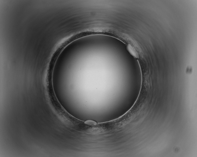 X0000103320536200809051149