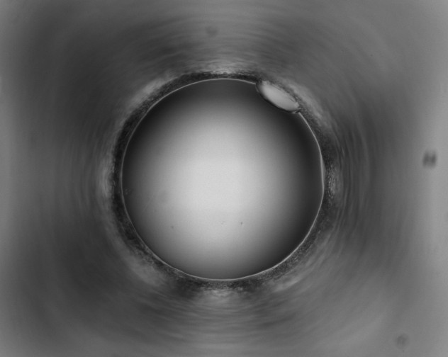 X0000103320540200809051149