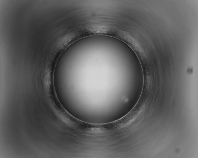 X0000103320541200809051149