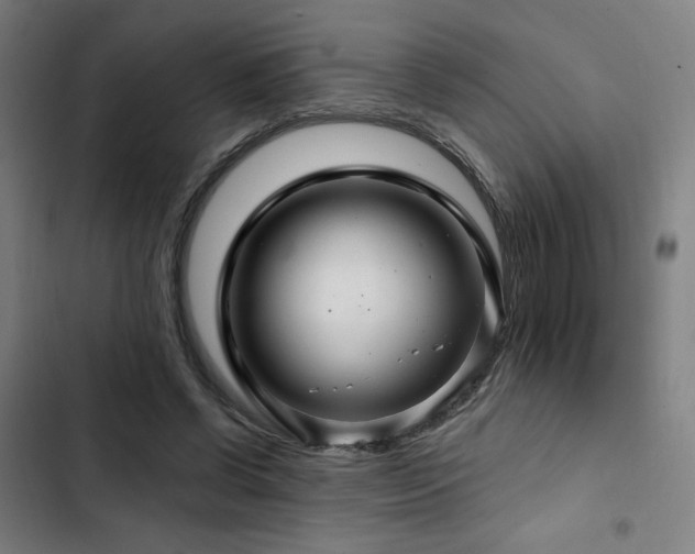 X0000103320542200809051149