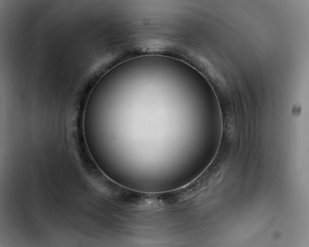 X0000103320543200809051149