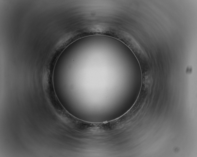 X0000103320544200809051149