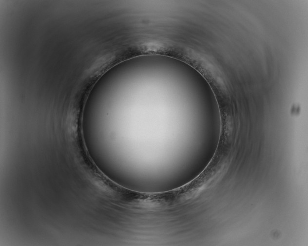 X0000103320545200809051149