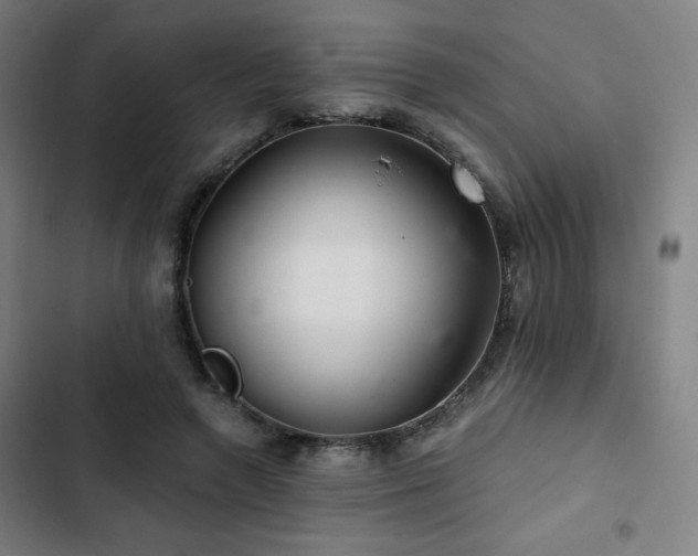 X0000103320546200809051149