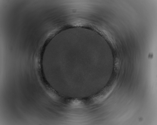 X0000103320547200809051149