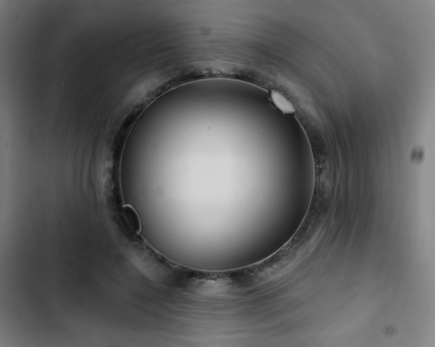 X0000103320548200809051149