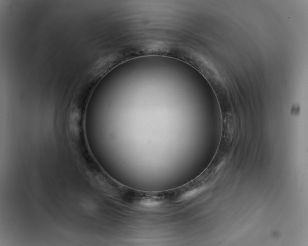 X0000103320550200809051149