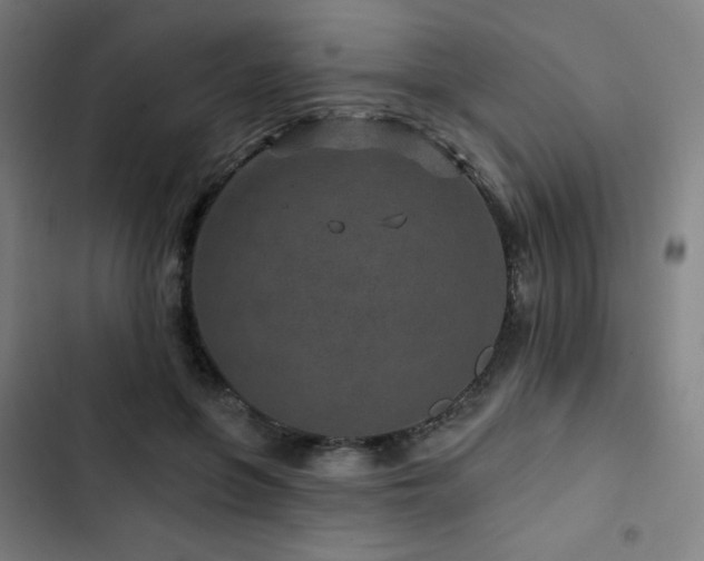 X0000103320551200809051149