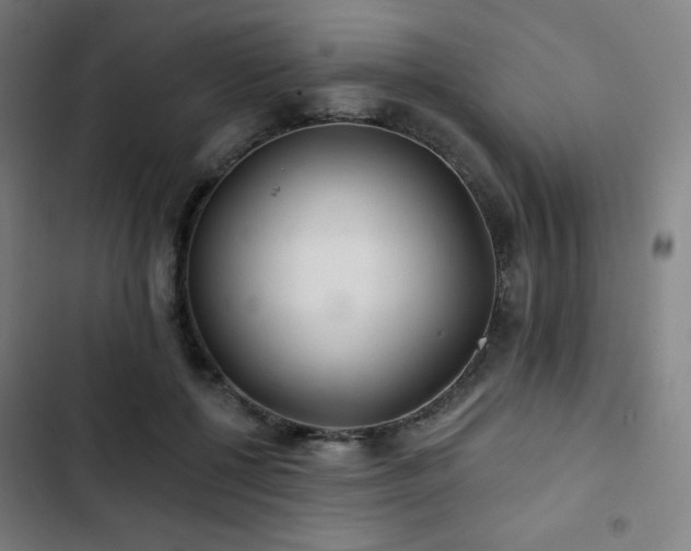 X0000103320552200809051149