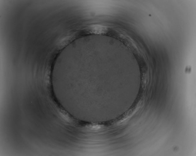 X0000103320553200809051149