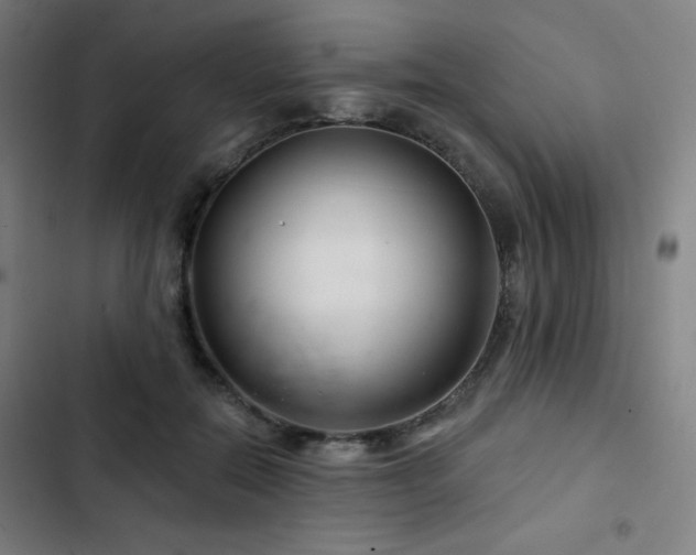 X0000103320554200809051149