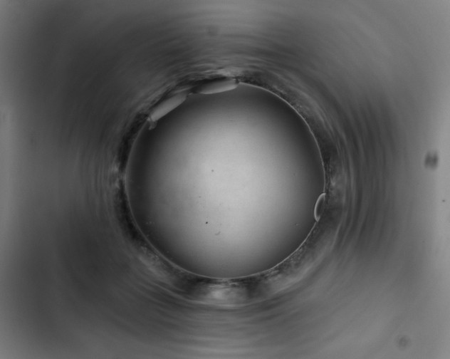 X0000103320555200809051149