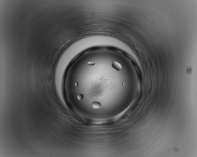 X0000103320556200809051149