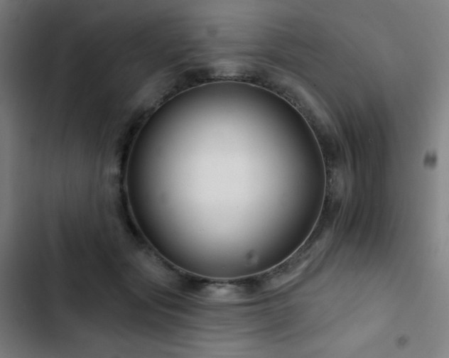 X0000103320557200809051150