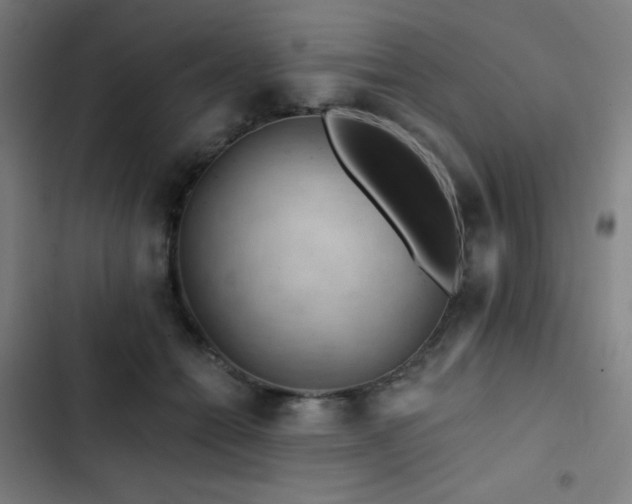 X0000103320558200809051150