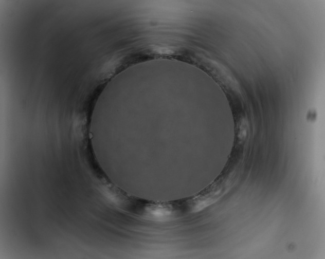 X0000103320559200809051150