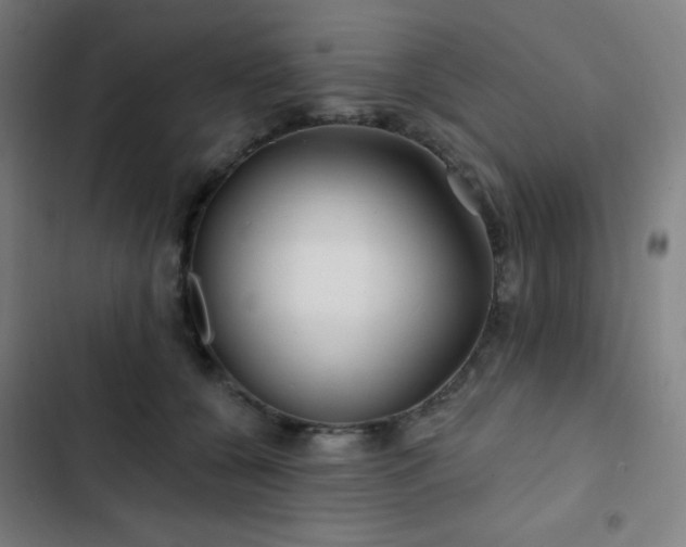 X0000103320560200809051150