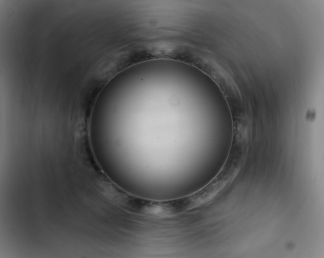 X0000103320561200809051150