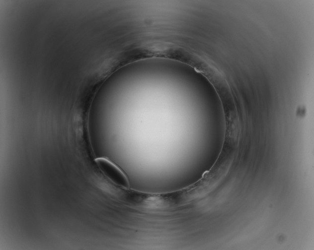 X0000103320562200809051150