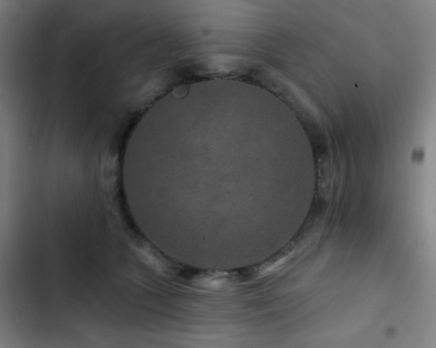 X0000103320563200809051150