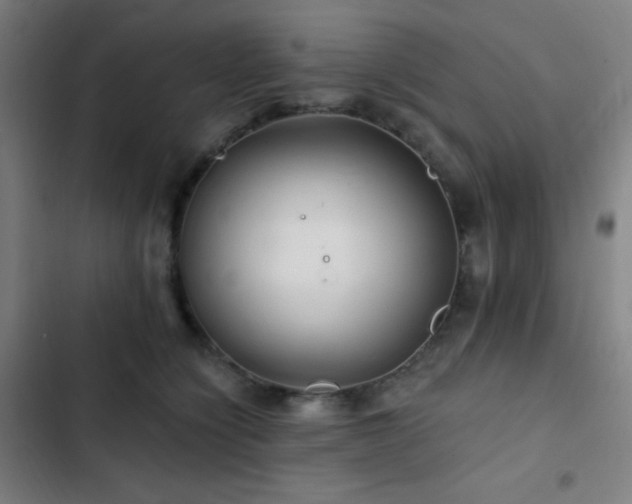 X0000103320564200809051150