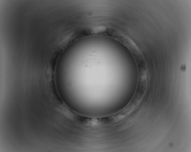 X0000103320565200809051150