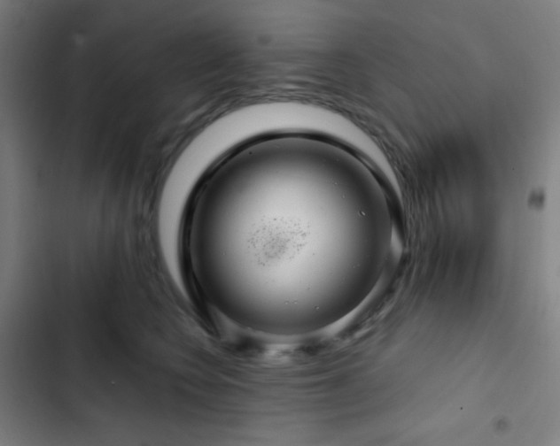 X0000103320566200809051150