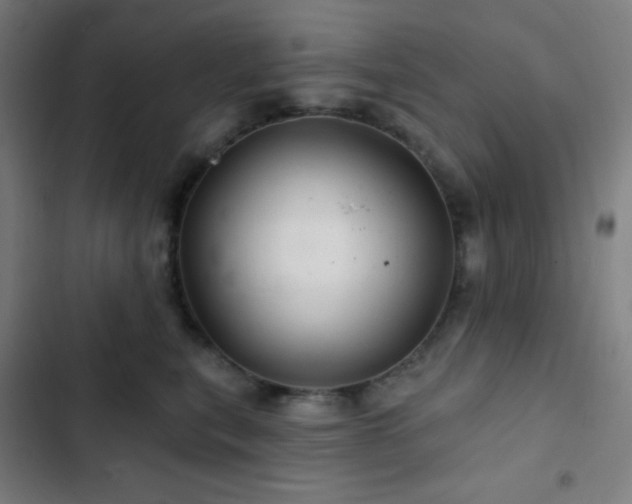 X0000103320567200809051150