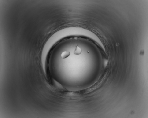 X0000103320568200809051150