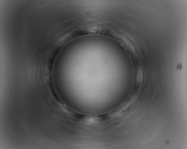 X0000103320569200809051150