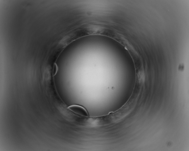 X0000103320570200809051150